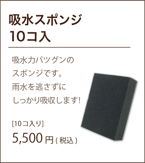吸水スポンジ10コ入